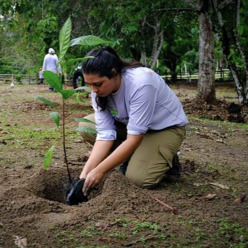 How to Take Care of the Environment