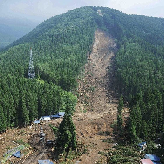 Impact of Environmental Damage